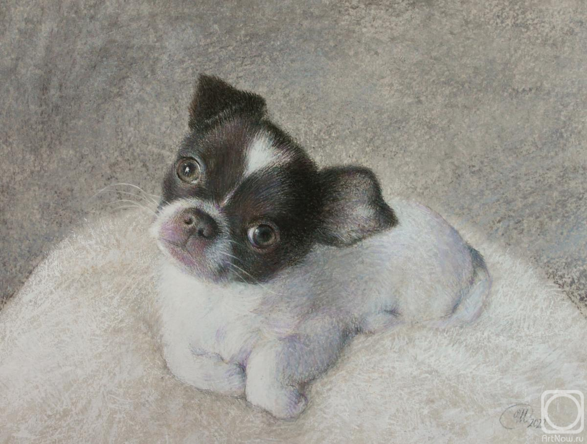 Shirokova Svetlana. Portrait of a beloved dog