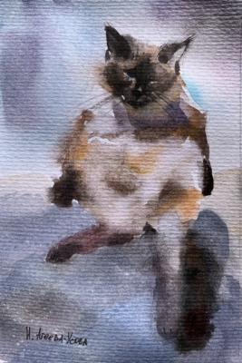 ������� �� ��������. ������-����� �����