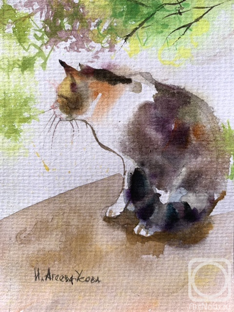 �������. ������-����� �����. �������� �����