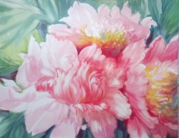 ������� ����� ������� ������