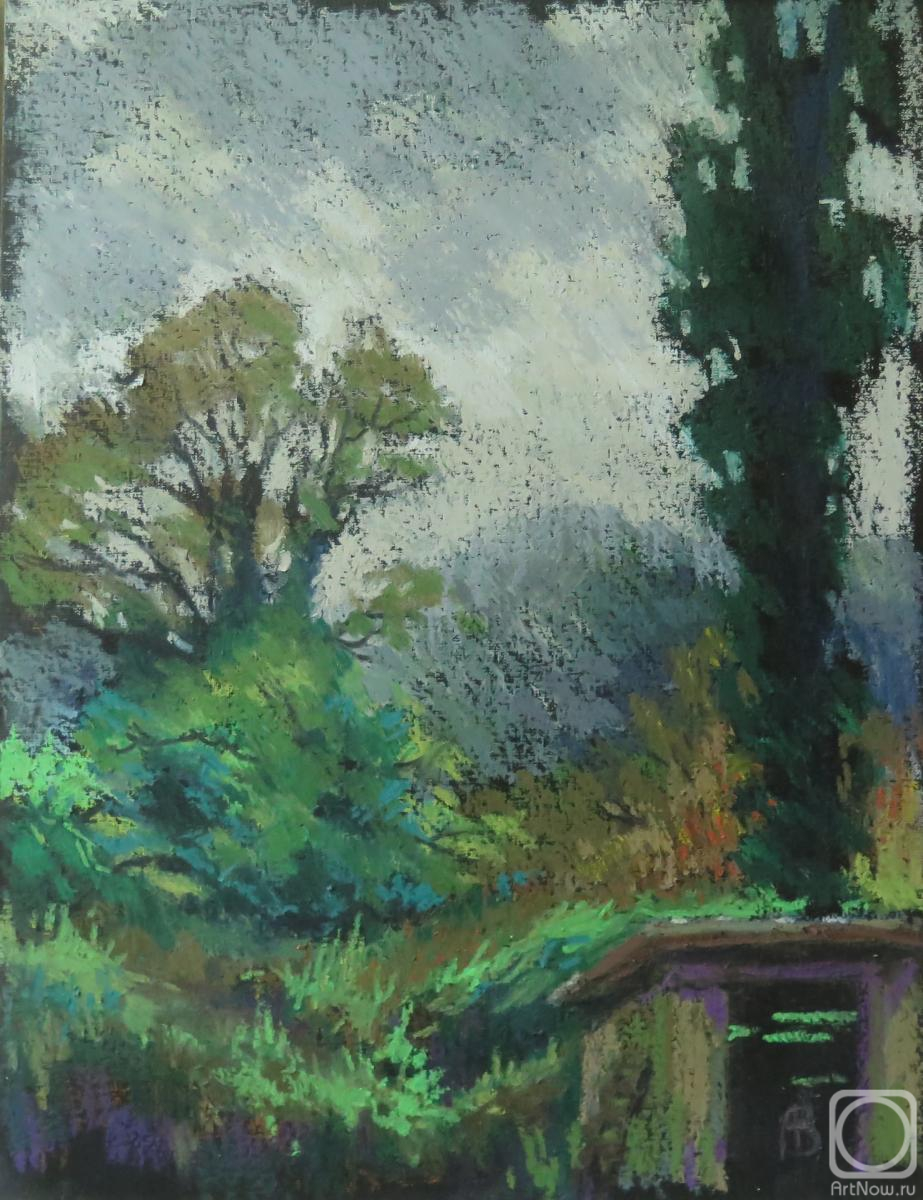 Vedeshina Zinaida. Untitled