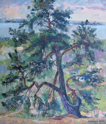 Pine tree on the mountain by the river. Chernyy Alexandr