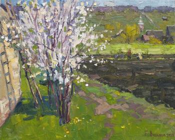 ������� ��� �������