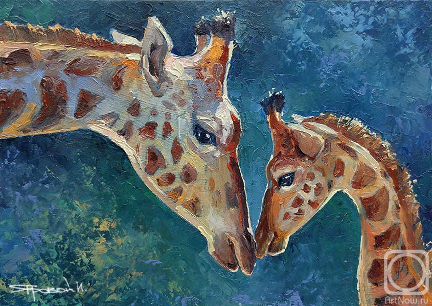 Iarovoi Igor. Giraffes, tenderness