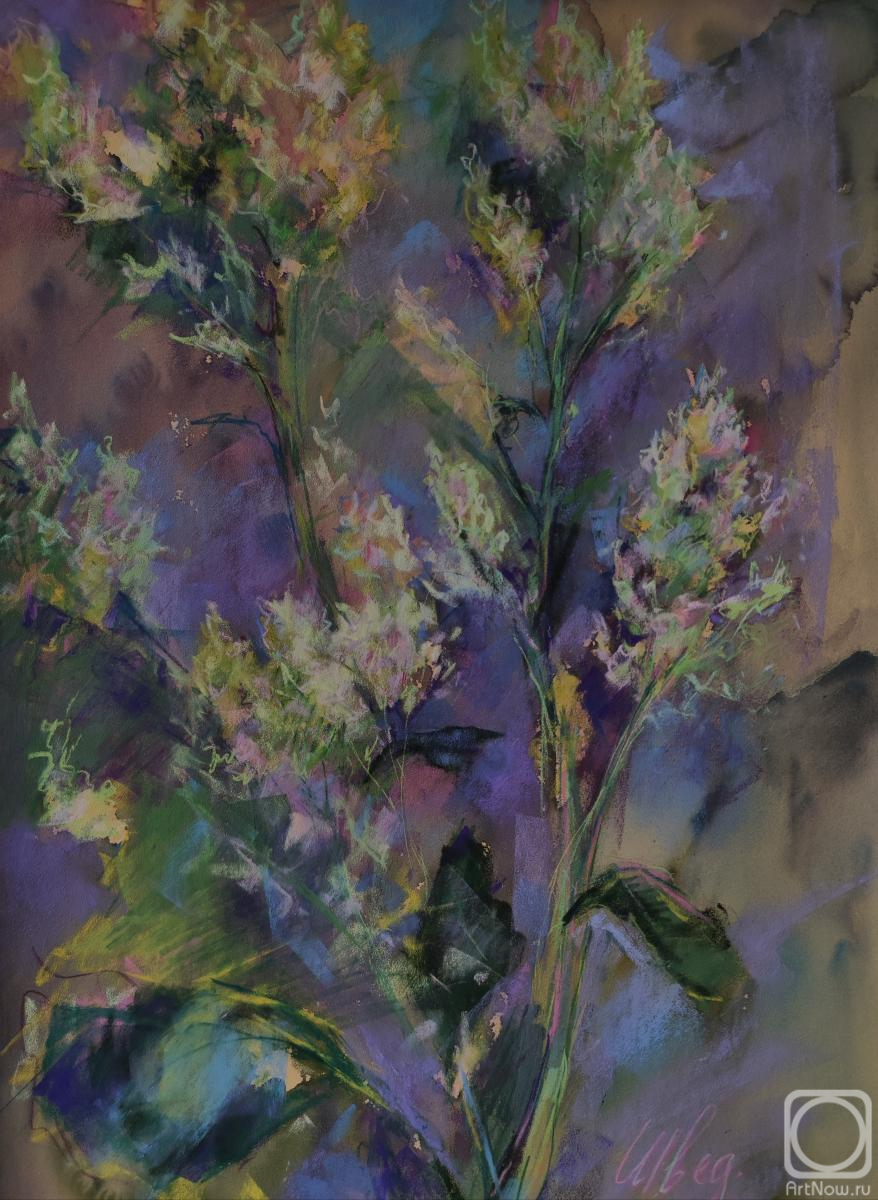 �������. ���� ����. ������ ����