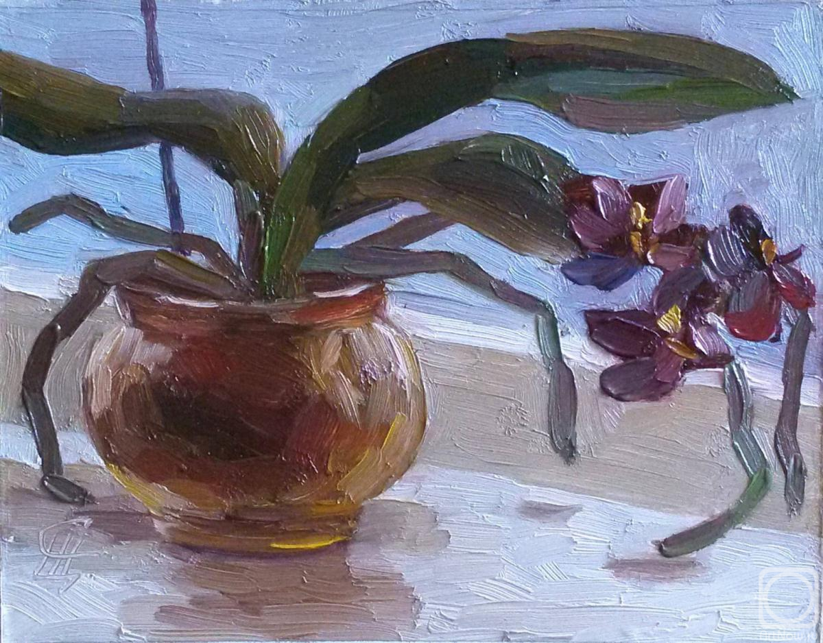 Scherilya Svetlana. Little Orchid