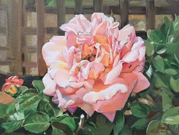 ������� �����