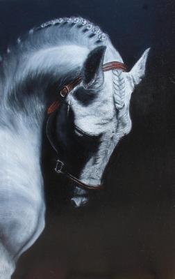 White horse. Leontev Maksim