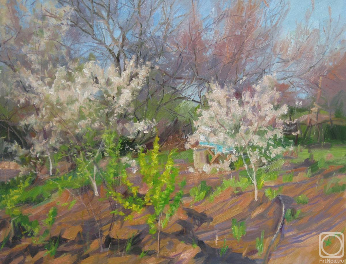 ������� ������ �� ������. ������� ��������. ������� ����