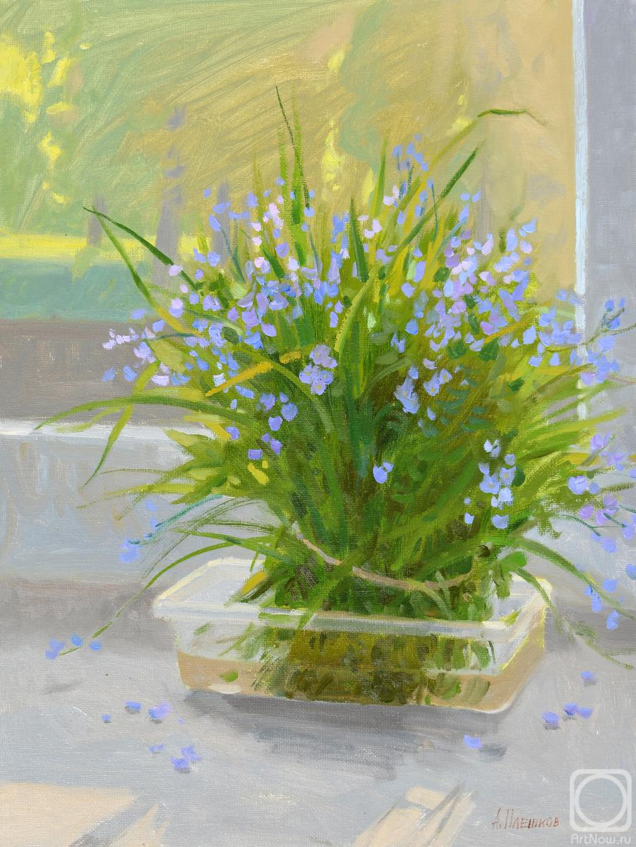 ������� ������ �� ������. ������� �������. ������ ���� ����