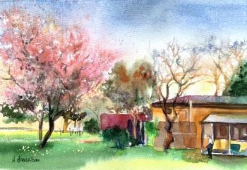 ������� �������� �����