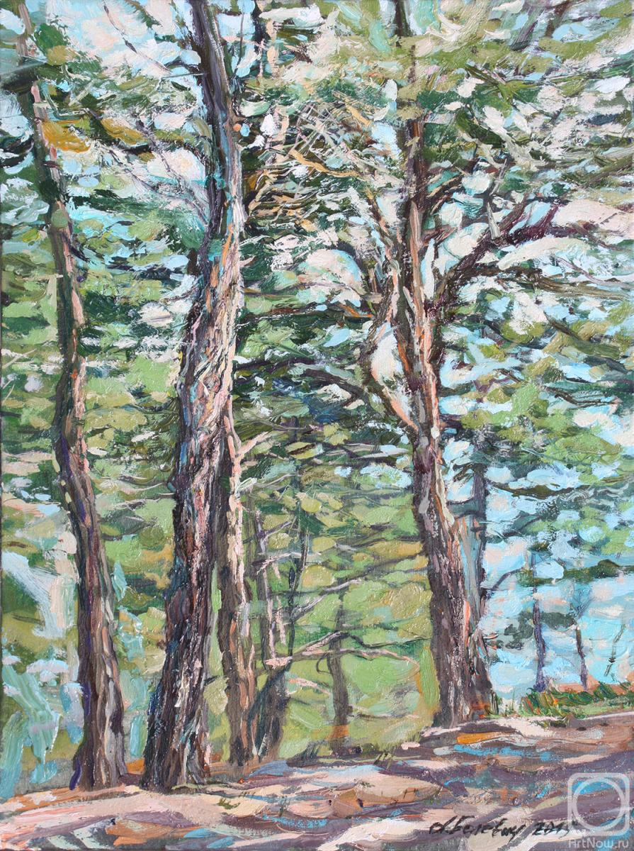 Belevich Andrei. Pines At The Top