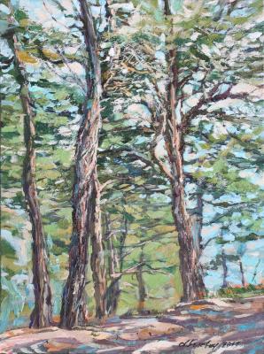 Pines At The Top (The Top Of The Summer). Belevich Andrei