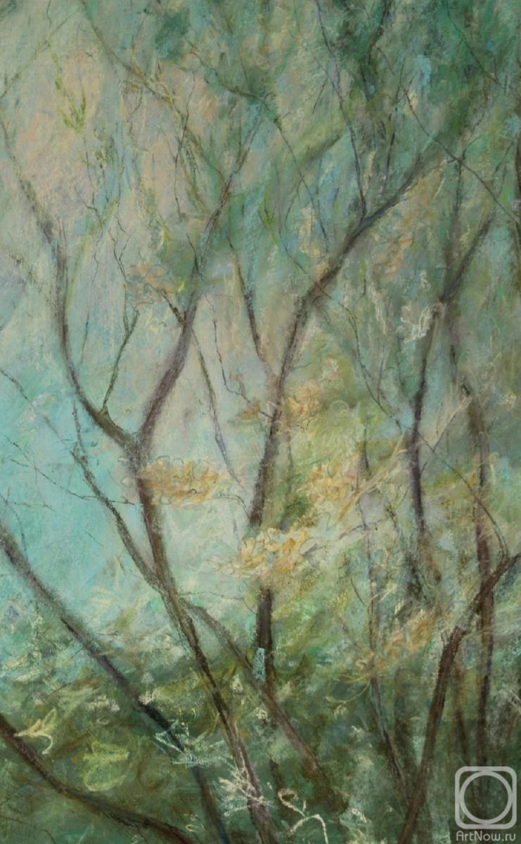 �������. ���� ����. �������� ���