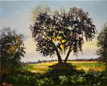 ������� ��������� �������