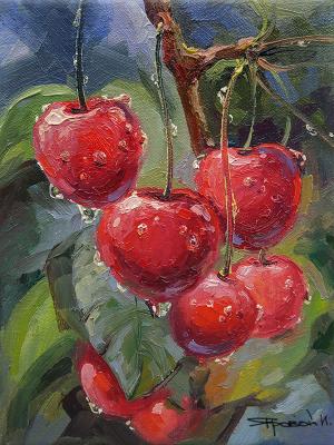 Ripe cherry (Berry Garden). Iarovoi Igor