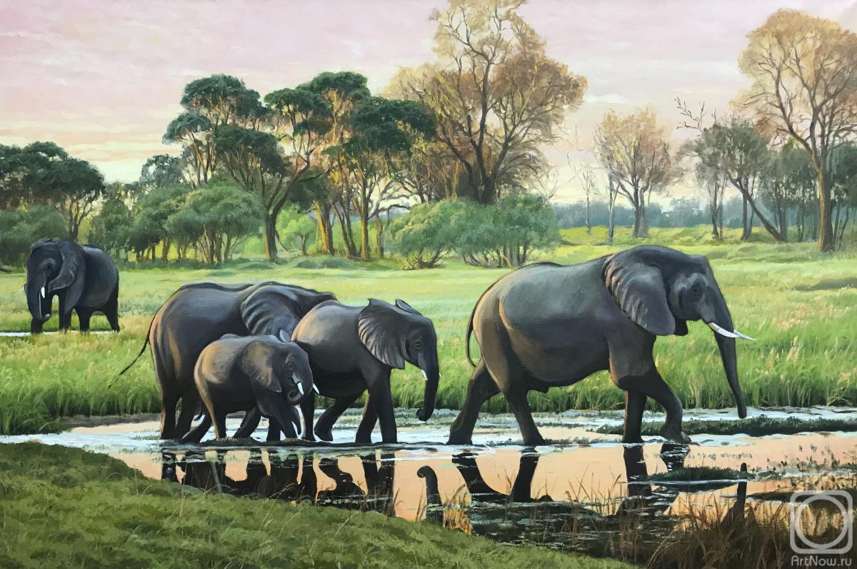 Roslik Evgeniya. Elephants at sunset
