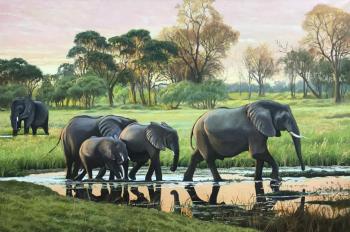 Elephants at sunset. Roslik Evgeniya