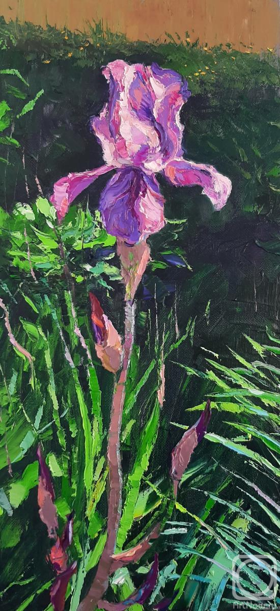 ������� ������ �� ������. ���������� �������. ���� �����