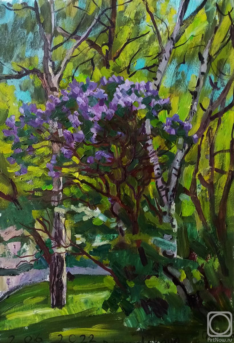 Dobrovolskaya Gayane. In the yard, lilacs and birches