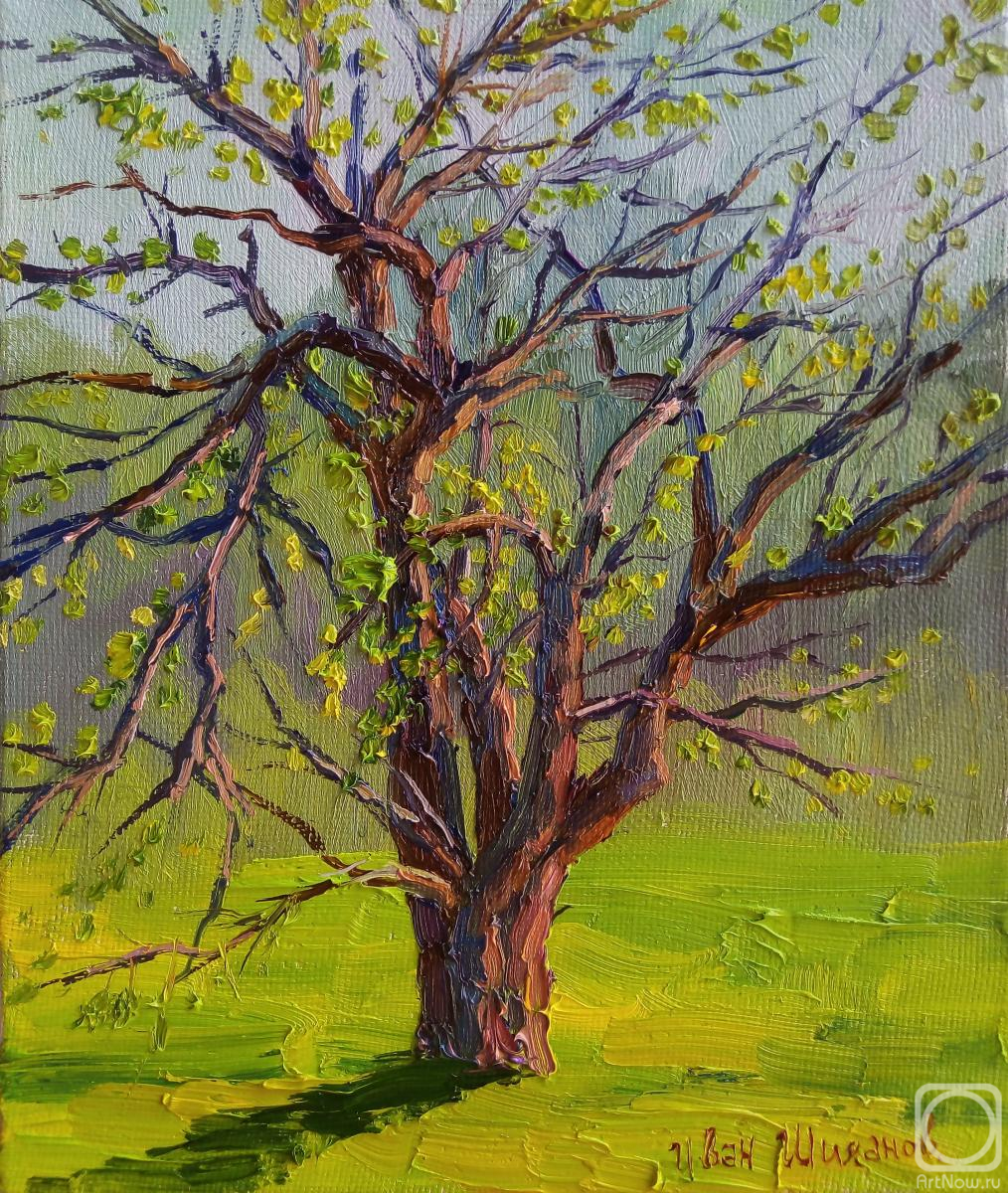 ������� ������ �� ������. ������� ����. ��������