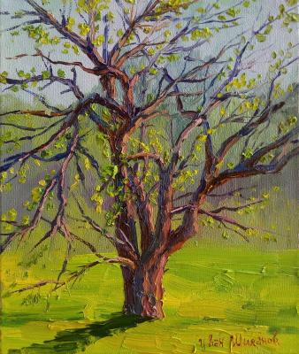 ������� ���������