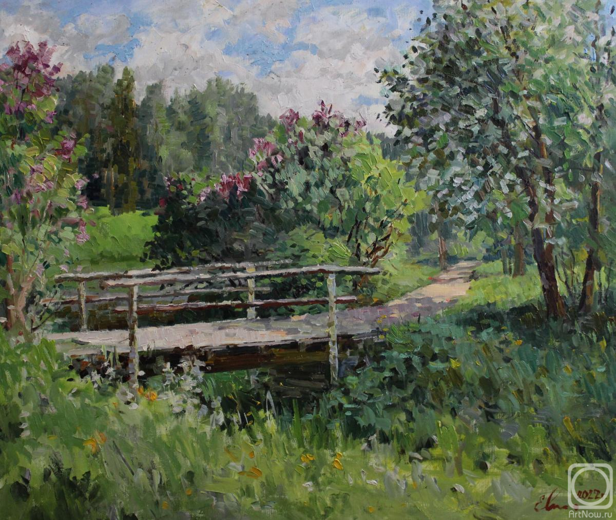Malykh Evgeny. The wooden bridge in Pavlovsk Park