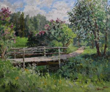 The wooden bridge in Pavlovsk Park