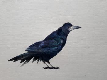 Black raven (Black Bird). Durandin Viktor