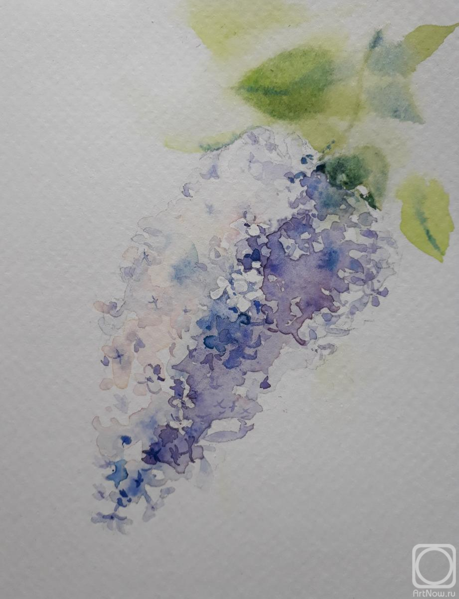 �������. �������� ������. ����� ������