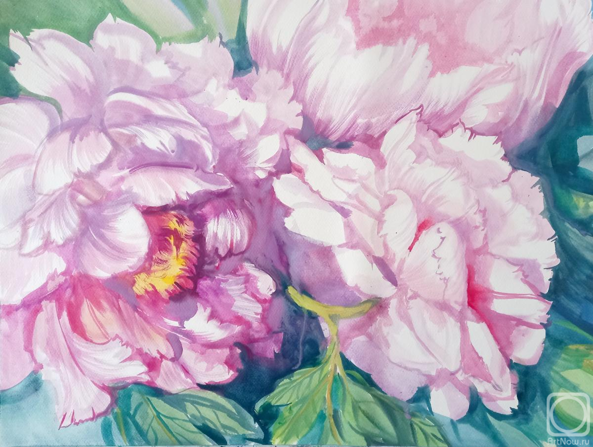 �������. ���������� ���������. ����� �����