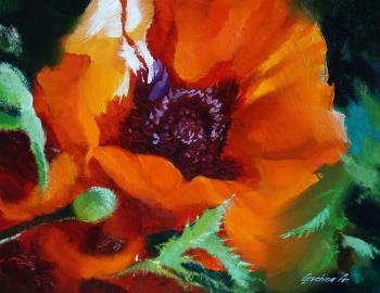 Mac (Orange Flower). Grechina Anna