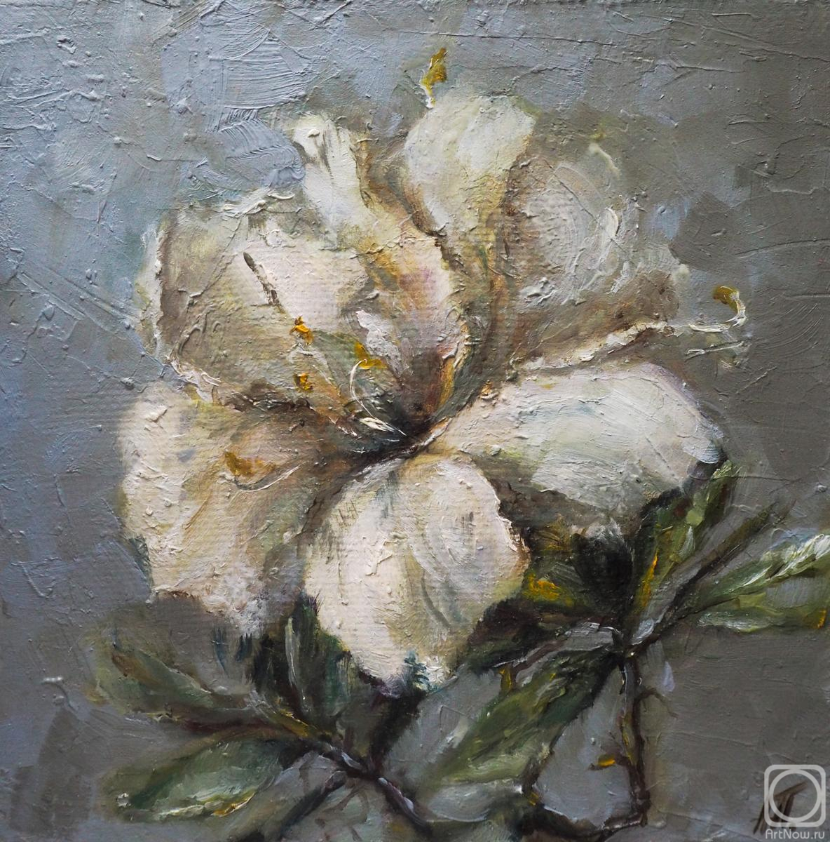 Popova Anastasiya. Flowers