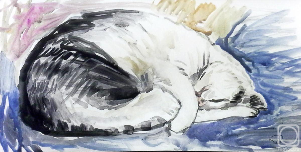 �������. �������� ������. ���� ��������