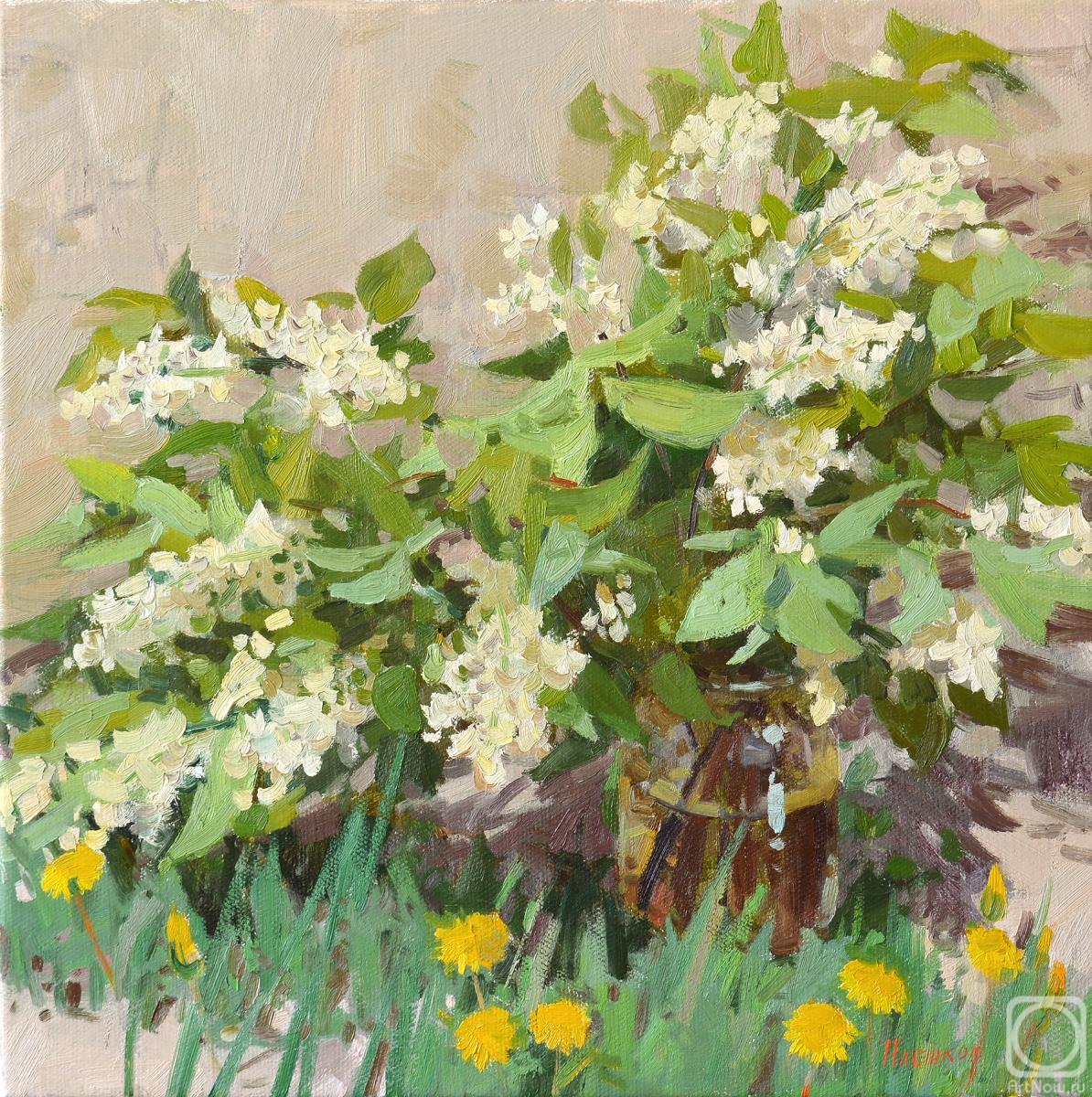 ������� ������ �� ������. ������� �������. �������