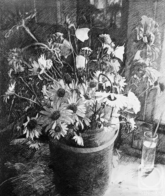 �������. ������ ������. ����� �35