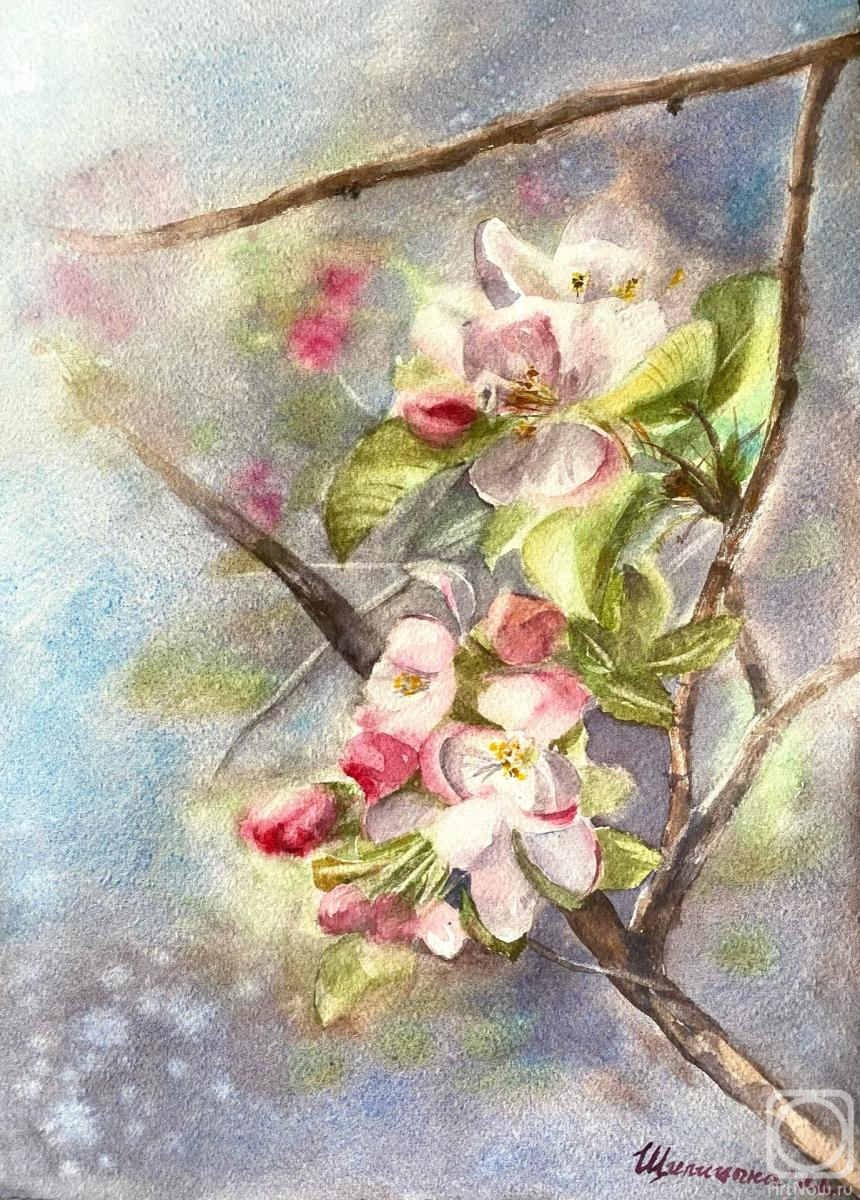 Schipitsyna Irina. Apple tree in bloom