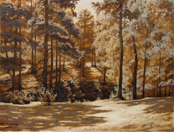 Chernoluche. A ravine in a pine park. Osipsow Wladislaw