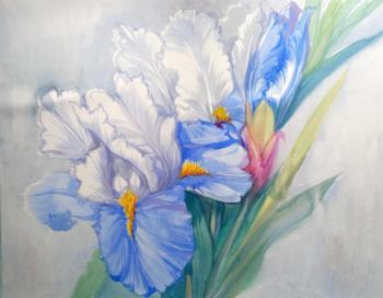 ���� � ������. ���������� ���������