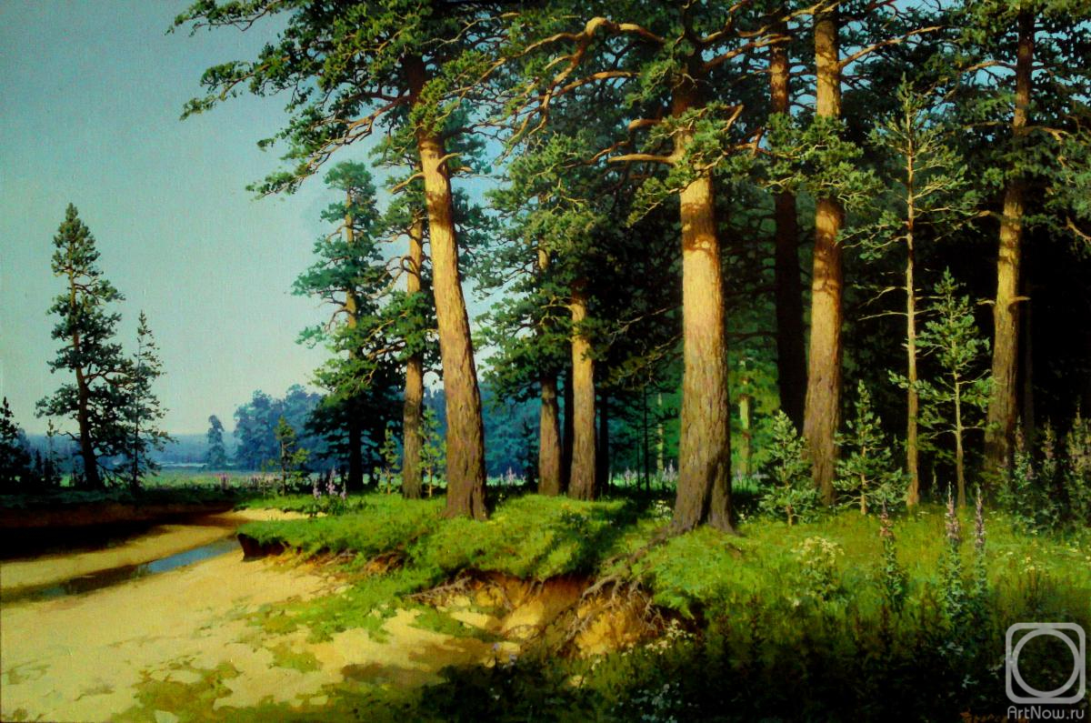 Fedorov Mihail. Pine forest
