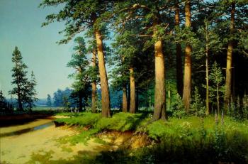 Pine forest (The Edge Of The River). Fedorov Mihail