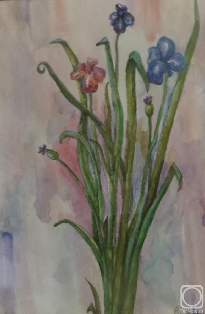 �������. ������ ��������. ����� ������