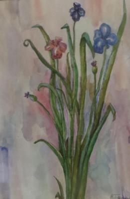 Bouquet of irises. Bagina Veronika