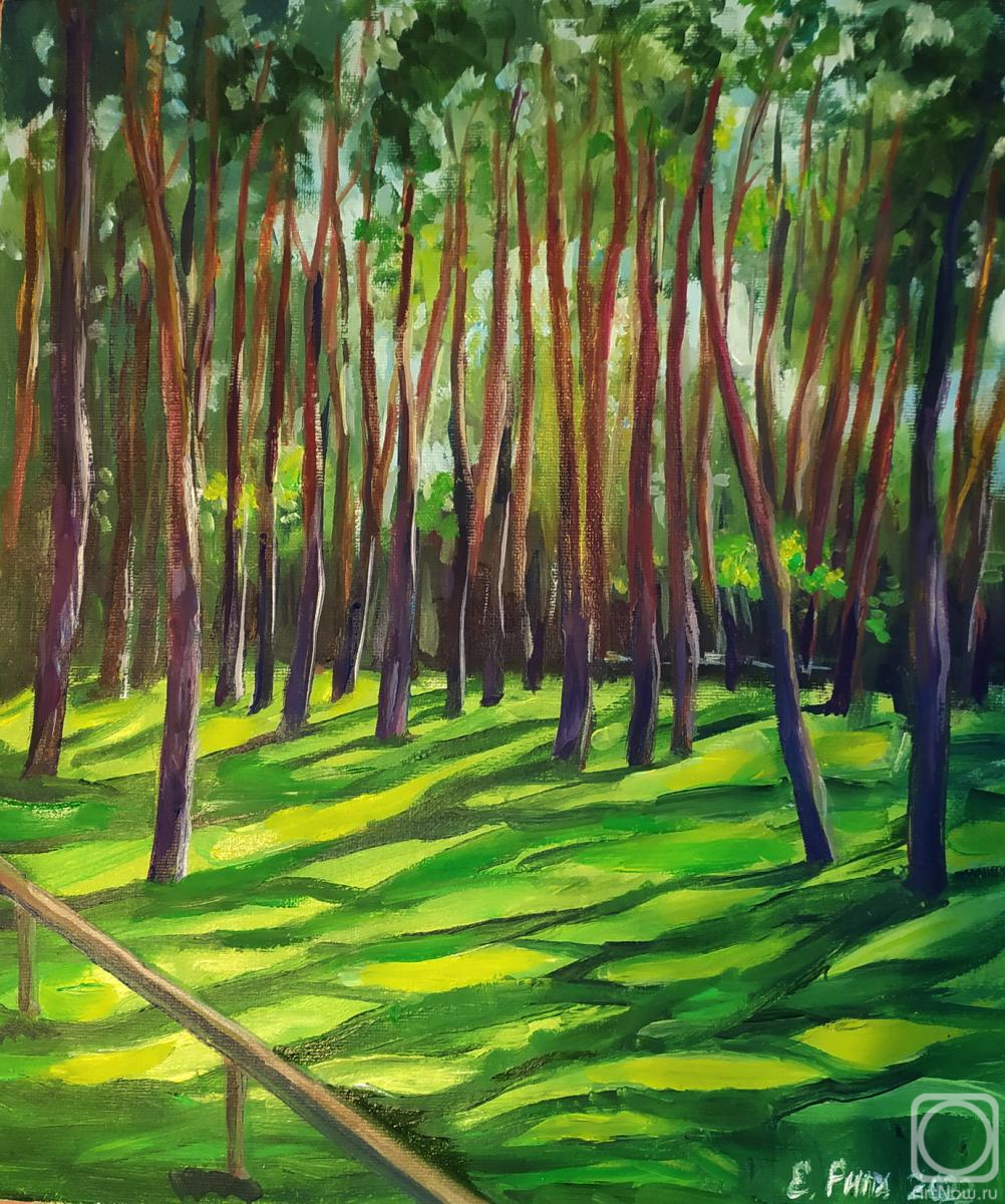 ������� ������ �� ������. ���� �����. ����� � ����