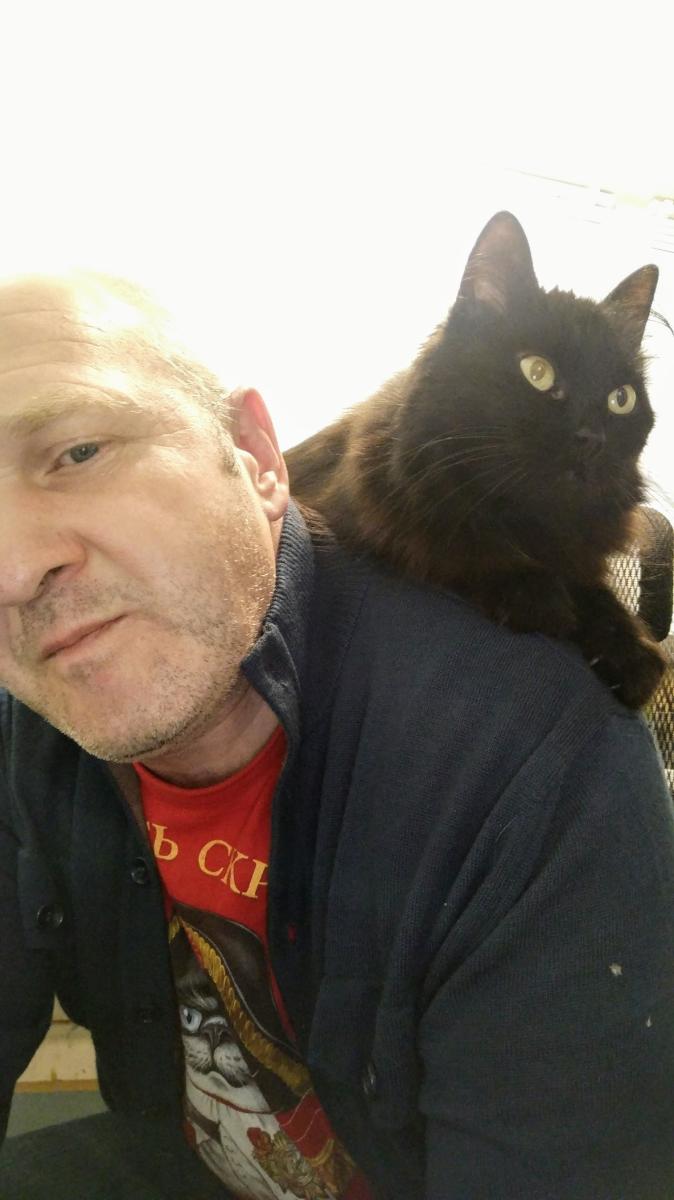 ����� ���������