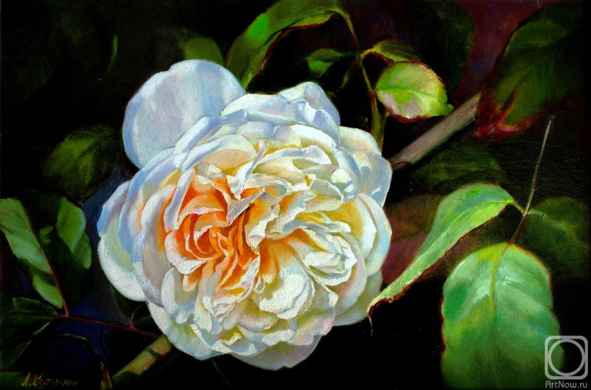 �������. ��������� ����. �������-������