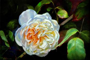 �������-������ (�����). ��������� ����