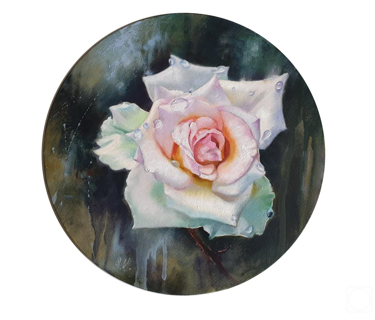 ������� ������ �� ������. ��������� ����. ���� � ����