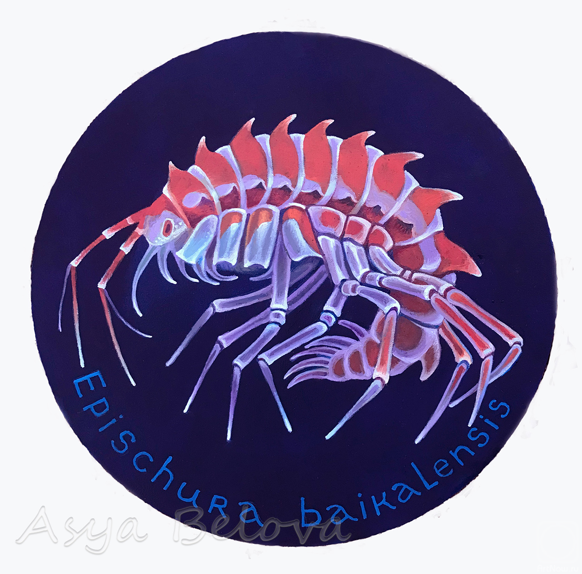 ������� ������ �� ������. ������ ���. �������