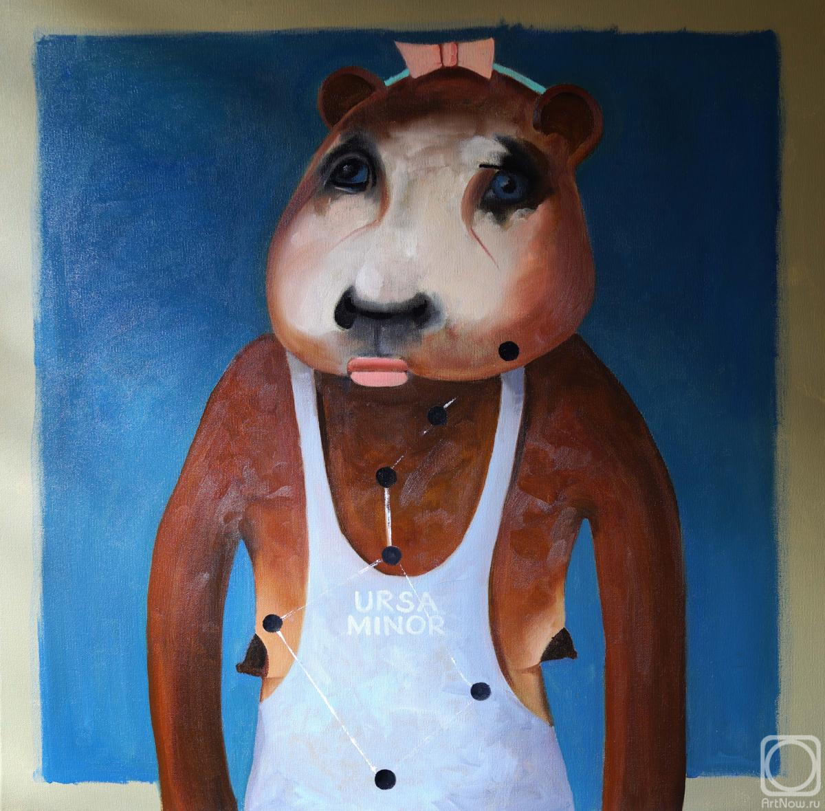 ������� ������ �� ������. ������������ �������. ����� ��������� (Ursa Minor)